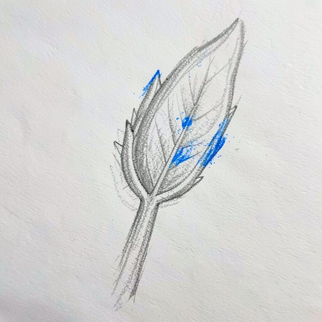 Graphite pencil sketch of a small sprouting leaf drawn with delicate gray lines, suggesting steady growth and calm planning