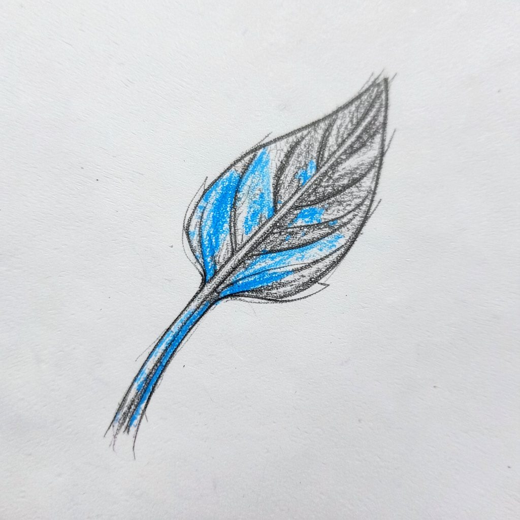 Delicate pencil sketch of a small sprout with two leaves, suggesting growth and advocacy in soft indigo.